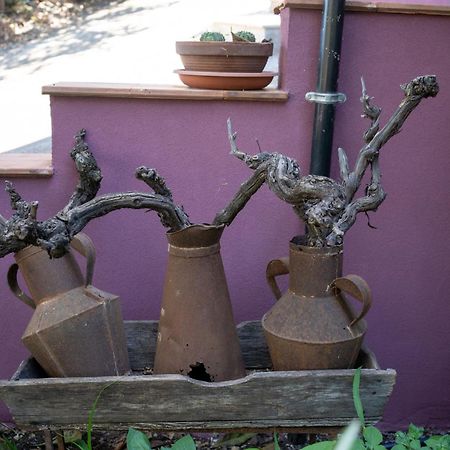 Agriturismo Etna-Mare 皮耶迪蒙泰埃特内奥 外观 照片