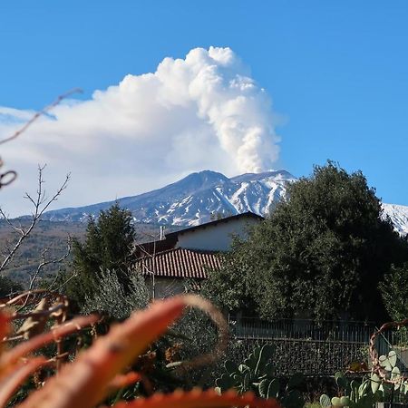 Agriturismo Etna-Mare 皮耶迪蒙泰埃特内奥 外观 照片