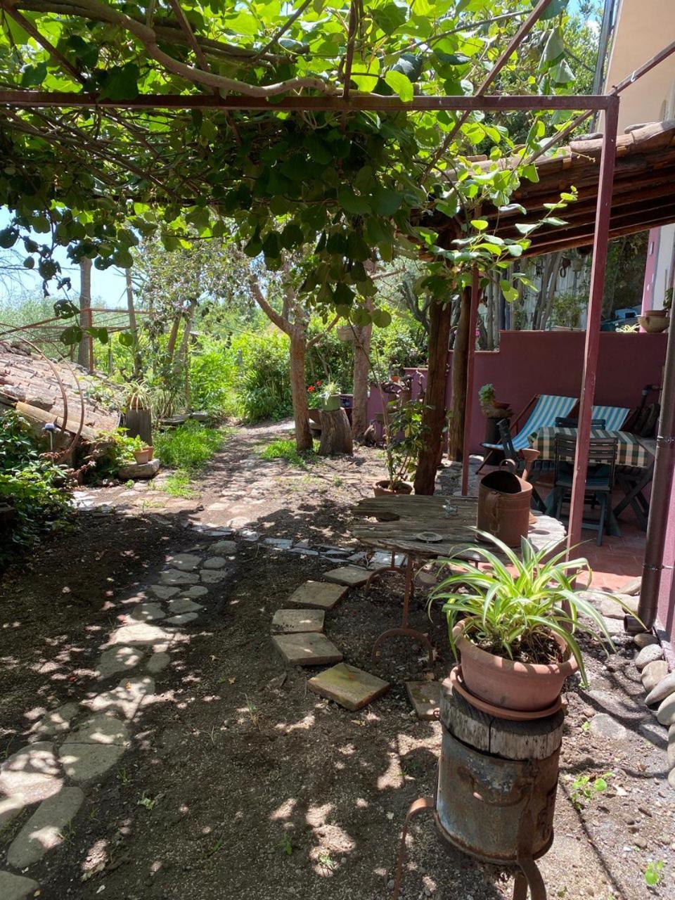 Agriturismo Etna-Mare 皮耶迪蒙泰埃特内奥 外观 照片