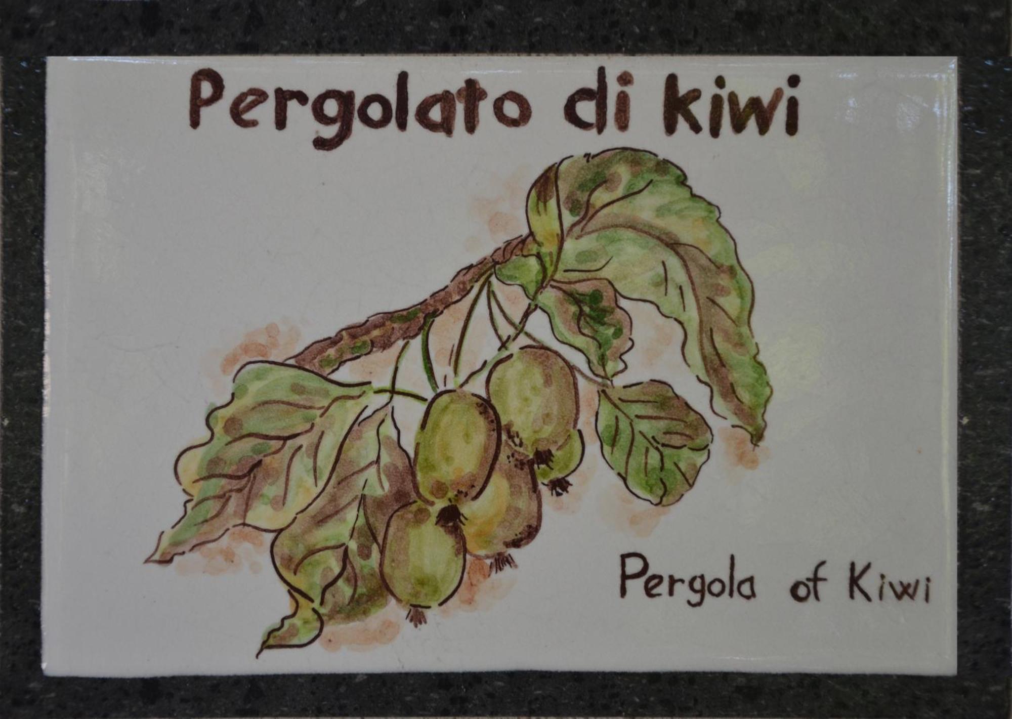 Agriturismo Etna-Mare 皮耶迪蒙泰埃特内奥 客房 照片