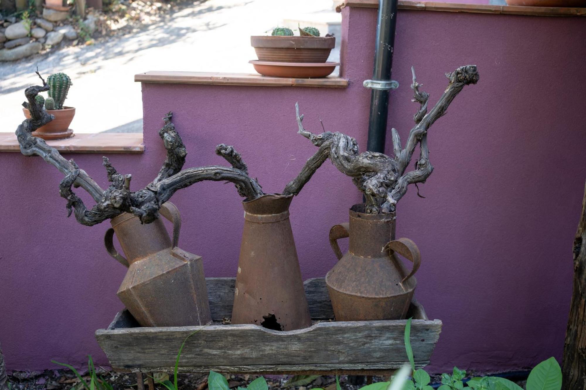 Agriturismo Etna-Mare 皮耶迪蒙泰埃特内奥 外观 照片