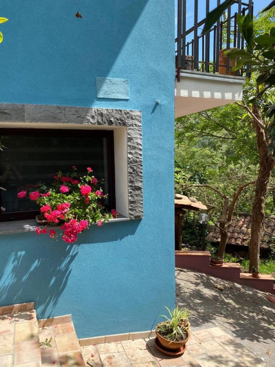 Agriturismo Etna-Mare 皮耶迪蒙泰埃特内奥 外观 照片