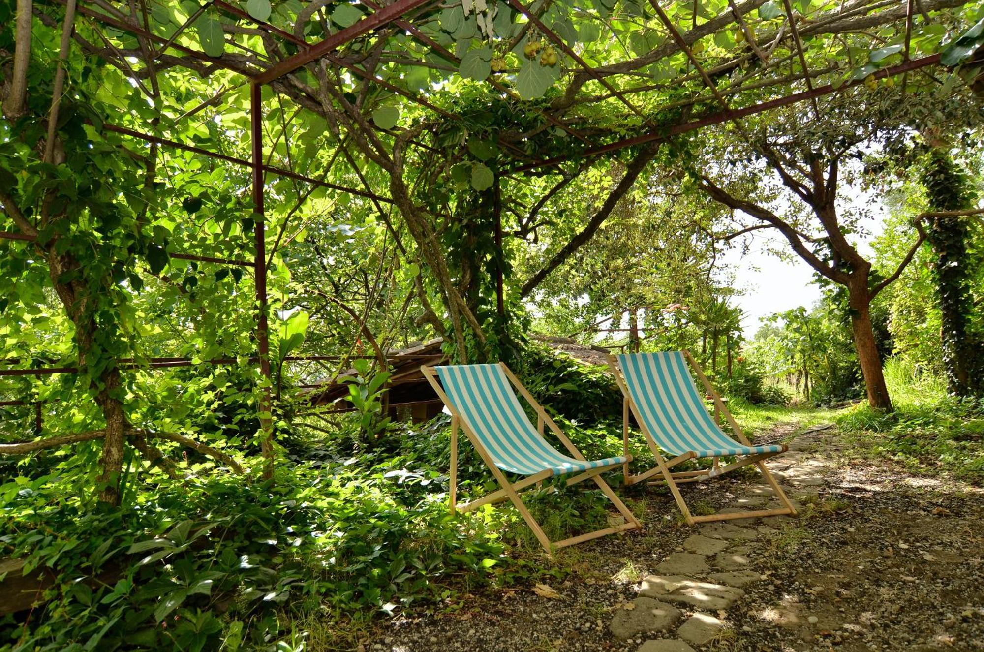 Agriturismo Etna-Mare 皮耶迪蒙泰埃特内奥 客房 照片