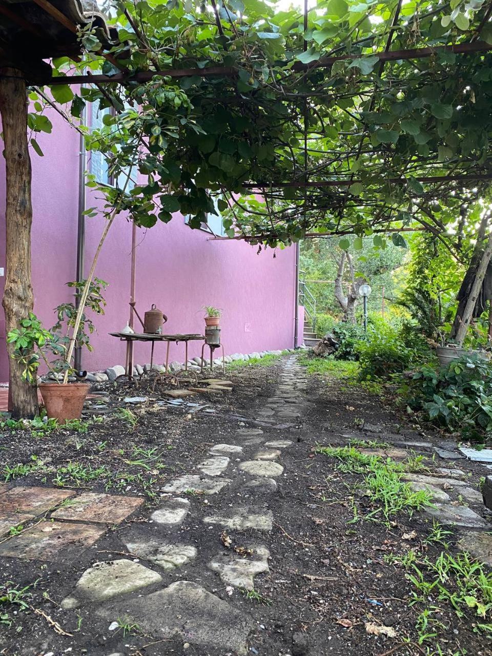 Agriturismo Etna-Mare 皮耶迪蒙泰埃特内奥 客房 照片