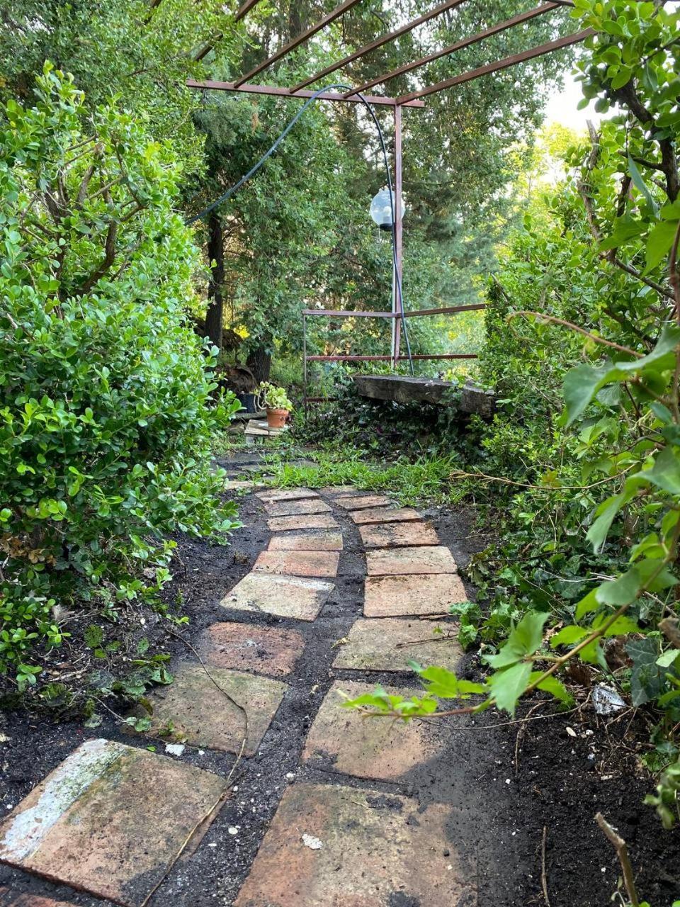 Agriturismo Etna-Mare 皮耶迪蒙泰埃特内奥 客房 照片