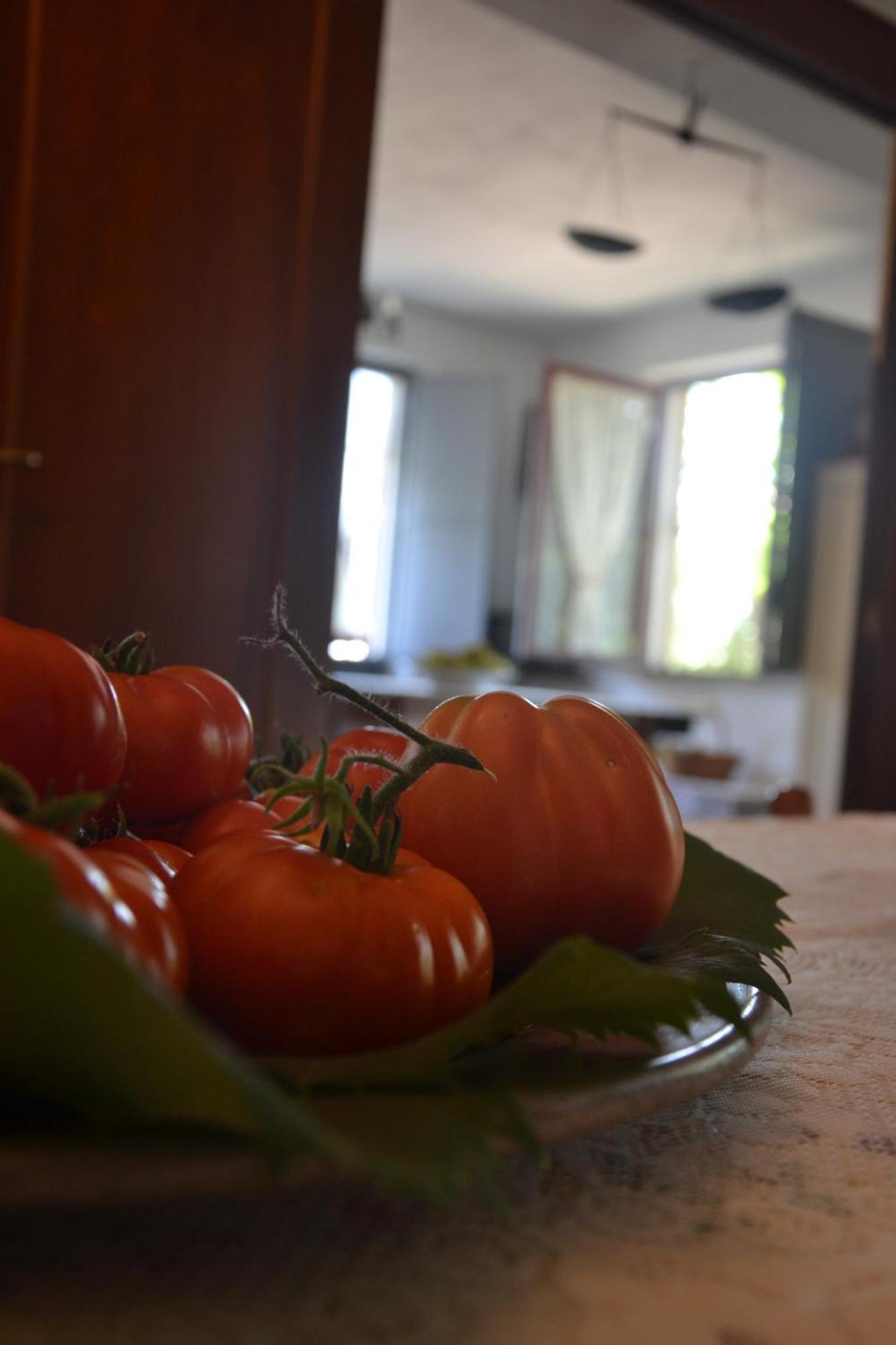 Agriturismo Etna-Mare 皮耶迪蒙泰埃特内奥 客房 照片