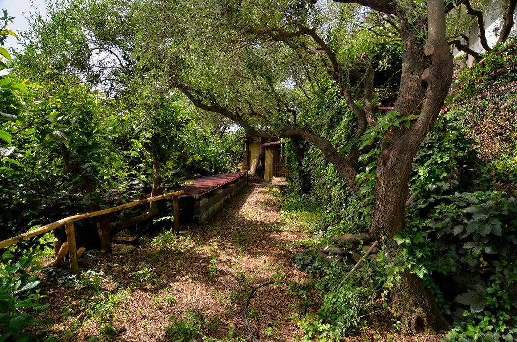 Agriturismo Etna-Mare 皮耶迪蒙泰埃特内奥 外观 照片