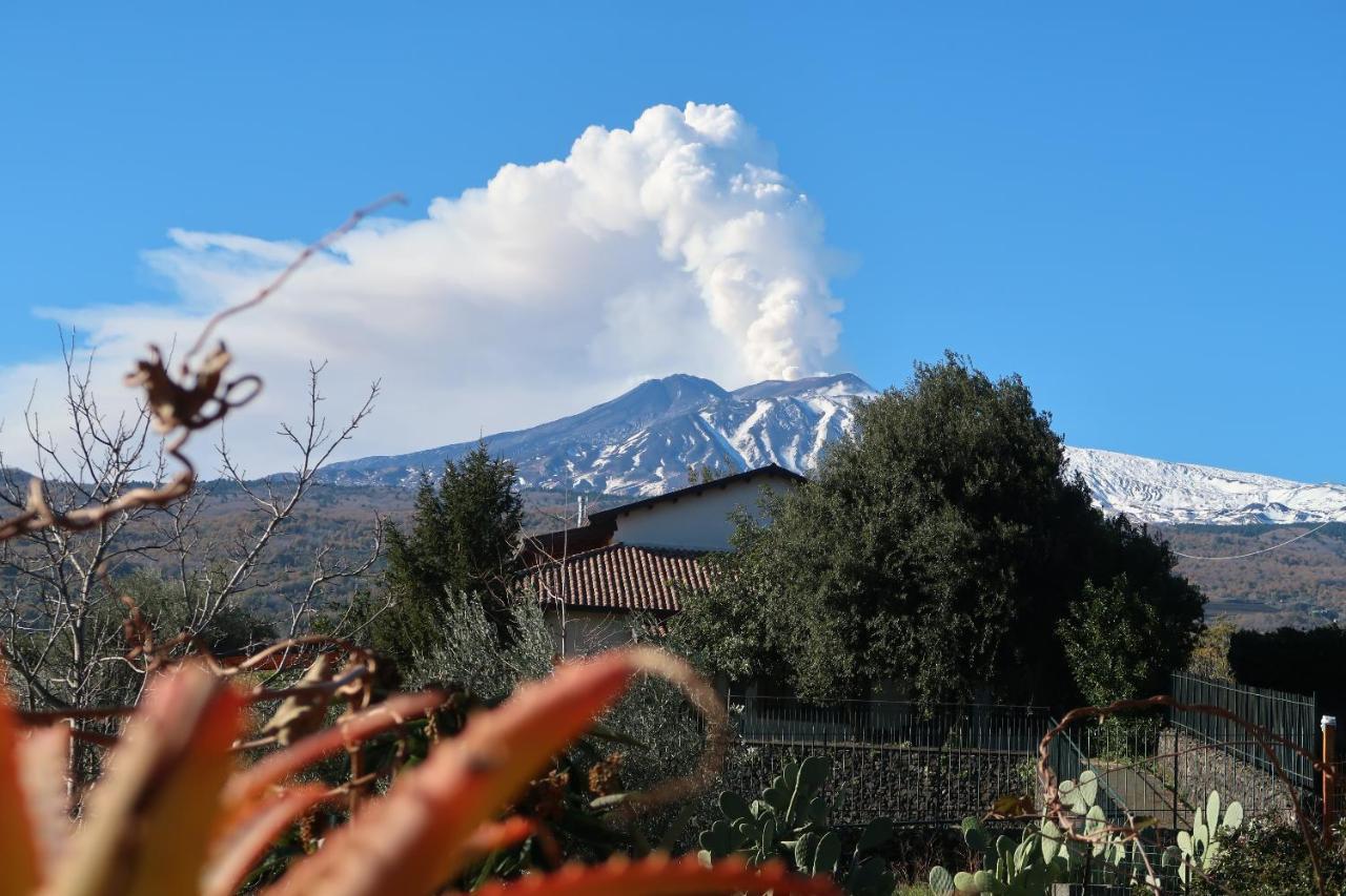 Agriturismo Etna-Mare 皮耶迪蒙泰埃特内奥 外观 照片